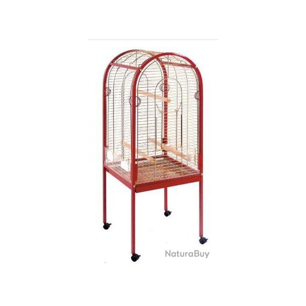 Cage petit courb perroquet