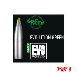 Ogives RWS Evo Green - 13.5 g / Par 3 / 10,3 mm