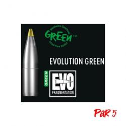 Ogives RWS Evo Green - Cal. 10.3 mm - 13.5 g / Par 5