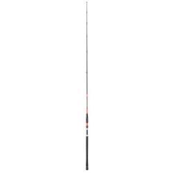 Canne Cannes Silure Daiwa Megaforce Big Fish 2.60m - 200-400g