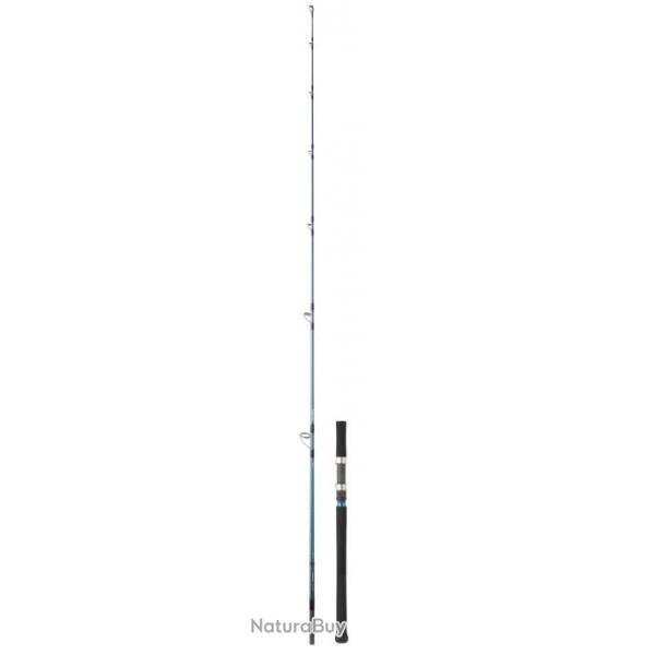 Canne Exotique Lancer Daiwa Grandwave Off Shore 2.49m - 40-90g