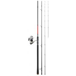 Ensemble Daiwa Feeder Sweepfire 07 - 3.00m 50g + Df A 2014 2500A