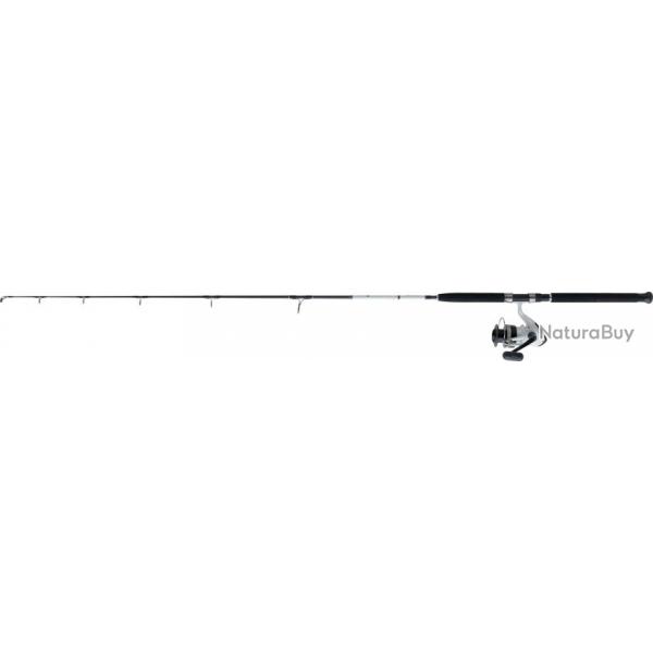 Ensemble Daiwa Jigging D'Wave 04 - 1.8m 100-300 + DW5000B