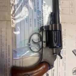 Colt new police RR police New York