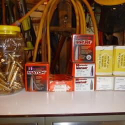 Ogives (balles)  calibre 416  marque WOODLEIGH