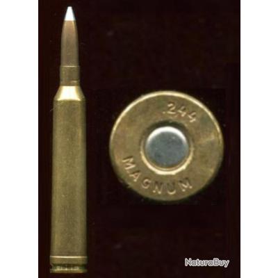 .244 Holland & Holland Belted Magnum balle cuivre pointe aluminium