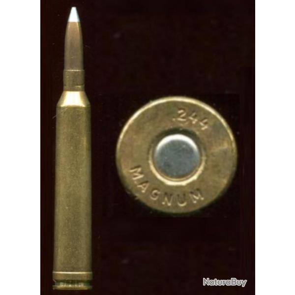 .244 Holland & Holland Belted Magnum - balle cuivre pointe aluminium