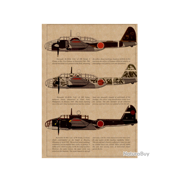 Affiche, poster vintage d'avion pour dcoration, taille 21x30cm modle 12