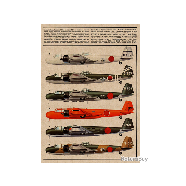 Affiche, poster vintage d'avion pour dcoration, taille 21x30cm modle 18