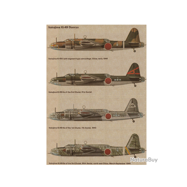 Affiche, poster vintage d'avion pour dcoration, taille 42x30cm modle 14