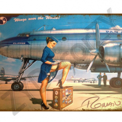 Affiche, poster vintage d'avion rétro pour décoration, taille 20x30cm modèle 2