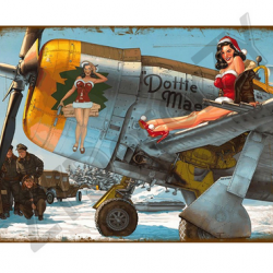 Affiche, poster vintage d'avion rétro pour décoration, taille 20x30cm modèle 10