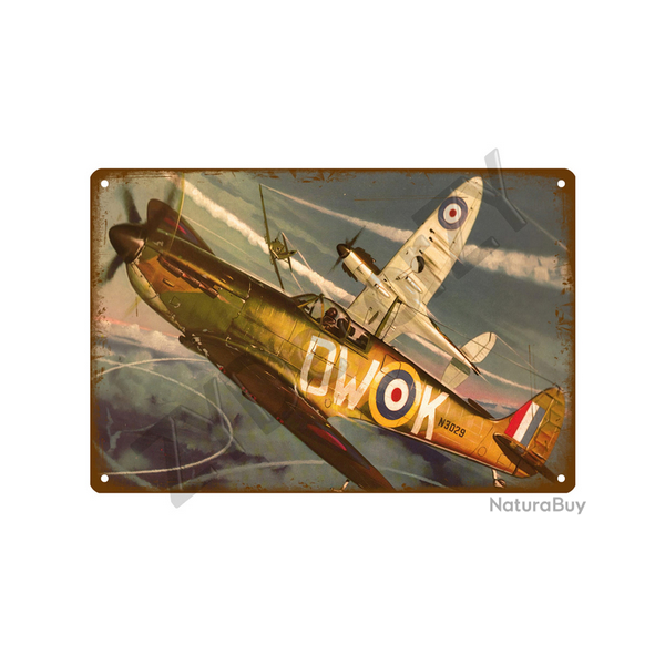 Affiche, poster vintage d'avion rtro pour dcoration, taille 20x30cm modle 13