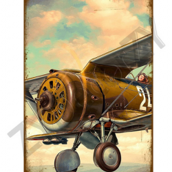 Affiche, poster vintage d'avion rétro pour décoration, taille 20x30cm modèle 20