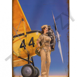Affiche, poster vintage d'avion rétro pour décoration, taille 20x30cm modèle 24