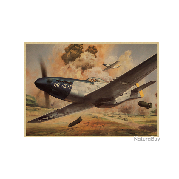 Affiche, poster vintage d'avion et de guerre pour dcoration, taille 30x21cm modle 16