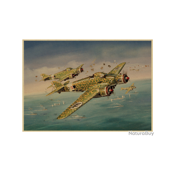 Affiche, poster vintage d'avion et de guerre pour dcoration, taille 30x21cm modle 29
