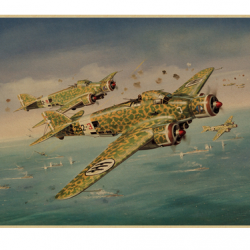 Affiche, poster vintage d'avion et de guerre pour décoration, taille 42x30cm modèle 29