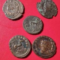 Lot de 5 monnaies romaines