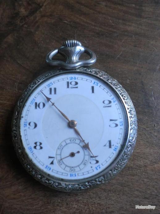 Montre a gousset ancre de preciision rubis Horlogerie (10325618)