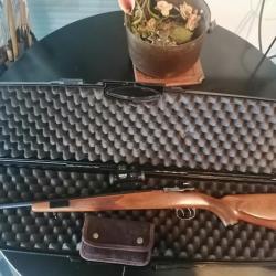 Carabine à verrou mauser 98k équipée point rouge bushnell et malette