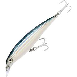 X-rap Saltwater 10cm Bfh