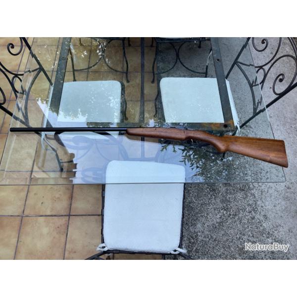 carabine 12mm type warnant