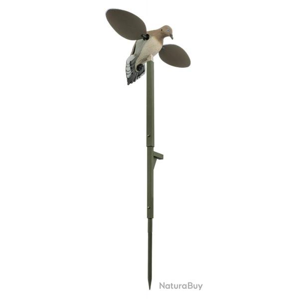 Tourterelles  Ailes Tournantes Mojo Dove