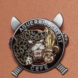 BREVET COMMANDO  CEFE AGUERRISSEMENT 3° REI CTRE ENTRAIN.. FORET EQUATORIALE GUYANE LEGION ETRANGERE