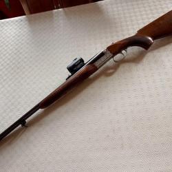 CARABINE CHAPUIS