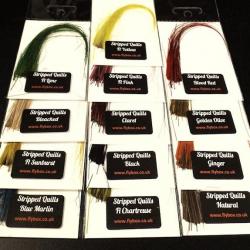 Quills de paon flybox montage mouche OLIVE-Stripped Quills FLYBOX fly tying