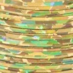 HOLOGRAPHIC FIBERS OR