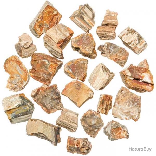 Pierres brutes bois fossilis - 3  4 cm - 100 grammes
