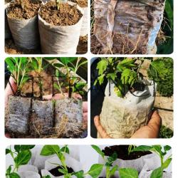100 Pots Sacs de Culture Biodegradable, Taille: 12x12cm