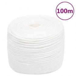 Corde de bateau Blanc complet 6 mm 100 m Polypropylène