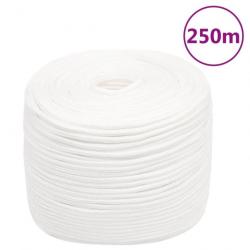 Corde de bateau Blanc complet 6 mm 250 m Polypropylène