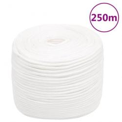 Corde de bateau Blanc complet 10 mm 250 m Polypropylène