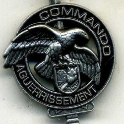 insigne commando (34)