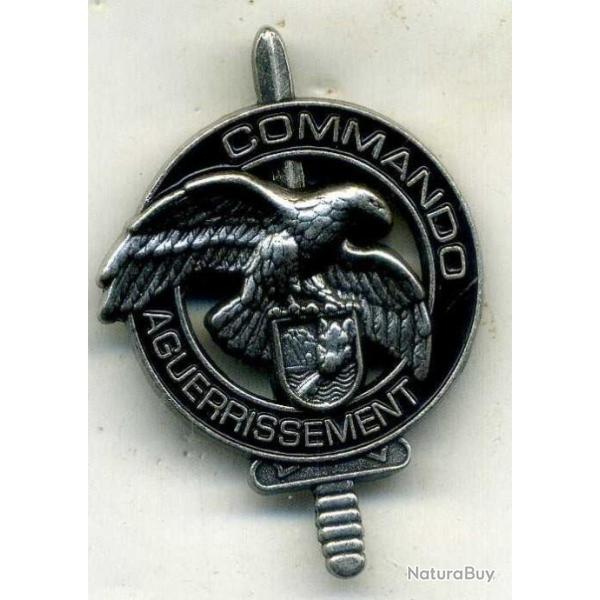 insigne commando (34)