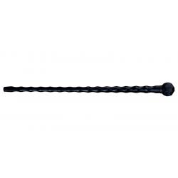 African Walking Stick