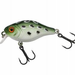 Poisson Nageur Berkley Pulse Fry Shallow 3,8cm 3,8cm Frog 4,6g