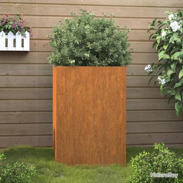 Jardinire Gris 52x48x75 cm Acier corten