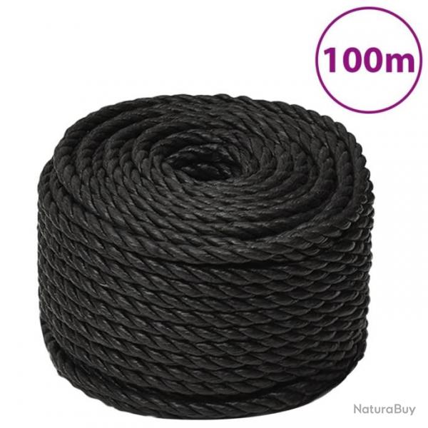 Corde de travail Noir 10 mm 100 m polypropylne