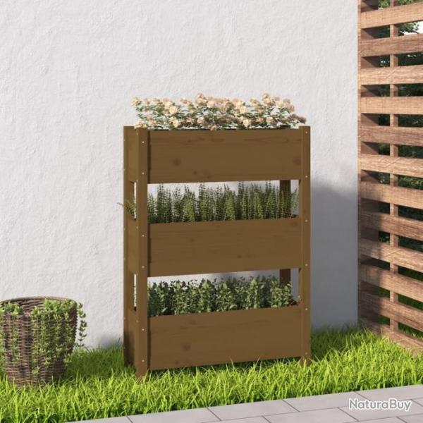 Jardinire Marron miel 77x25x104,5 cm Bois massif de pin