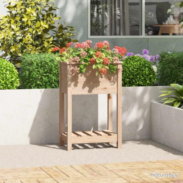 Jardinire avec tagre 54x34,5x81 cm Bois massif de pin