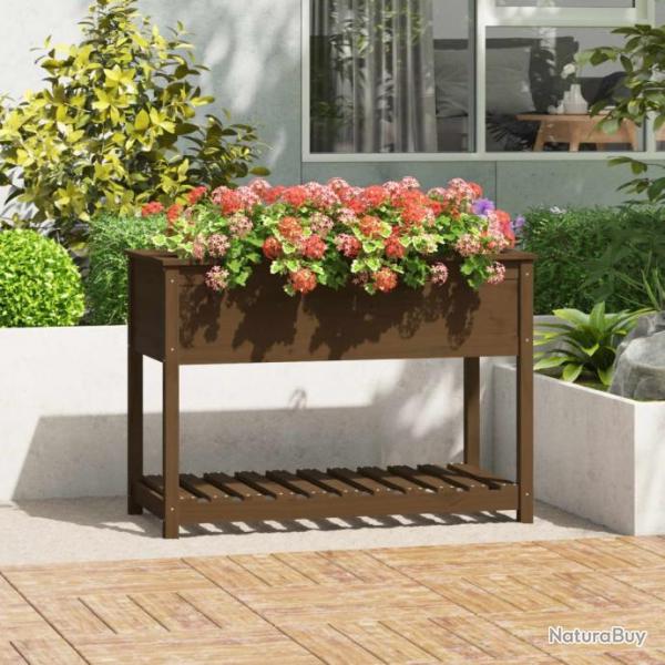 Jardinire avec tagre Marron miel 111,5x54x81 cm Bois de pin