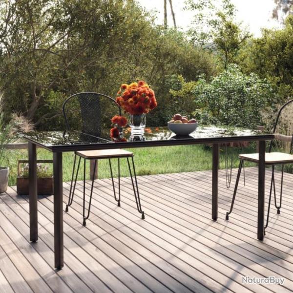Table  dner de jardin Noir 160x80x74 cm Acier et verre tremp