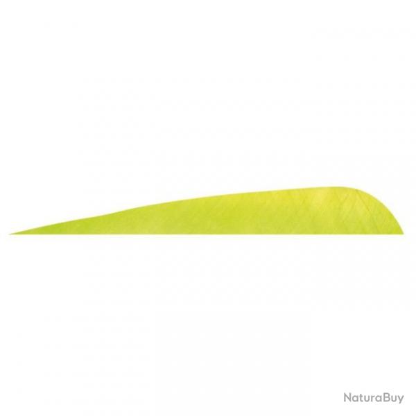 GATEWAY - Plumes naturelles parabolique 4" RH Unie LEMON LIME