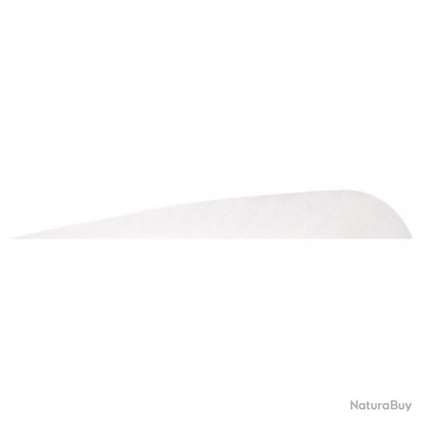 GATEWAY - Plumes naturelles parabolique 4" RH Unie BLANC