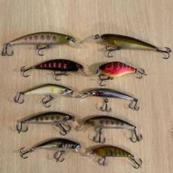 Poissons nageurs truite perche
